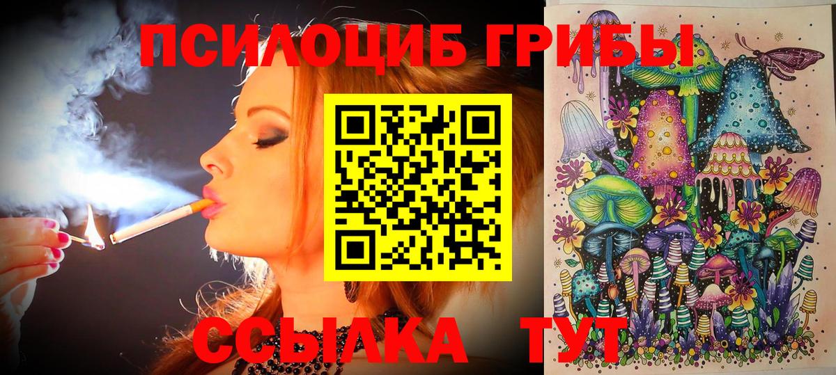 Людиново  Галлюциногенные грибы Psilocybe  купить  сайты  Вход с VPN 